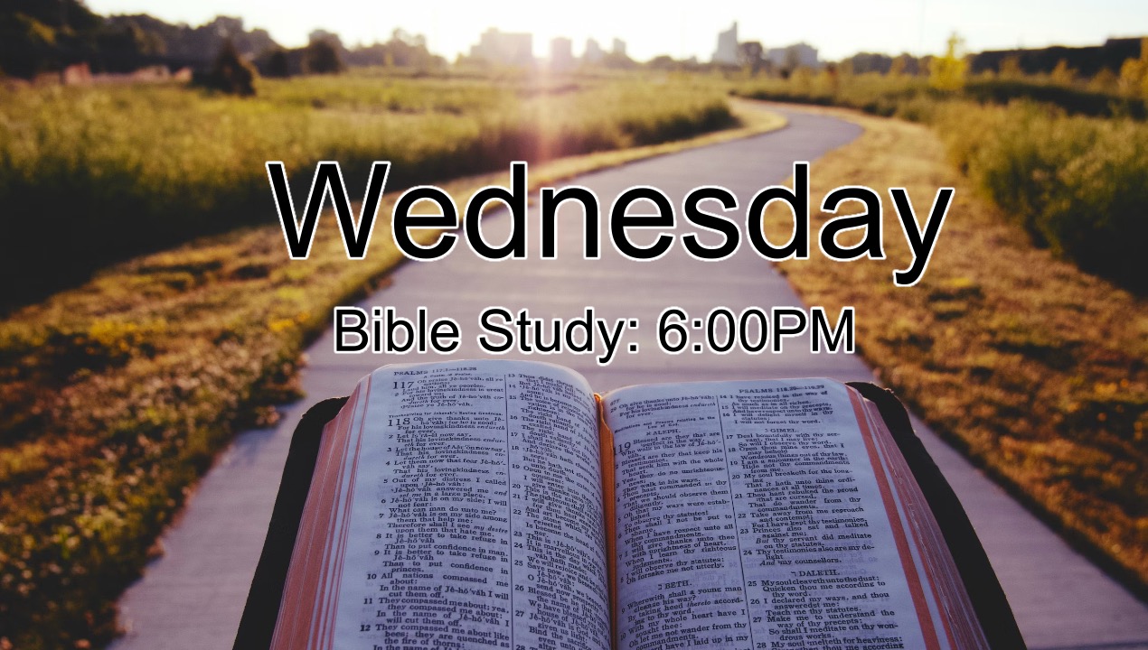 Bible-Study