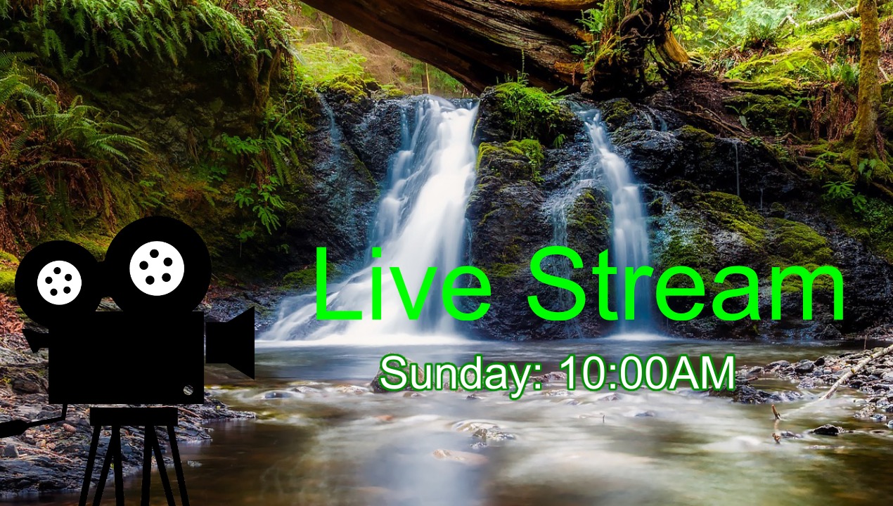 Live-Stream